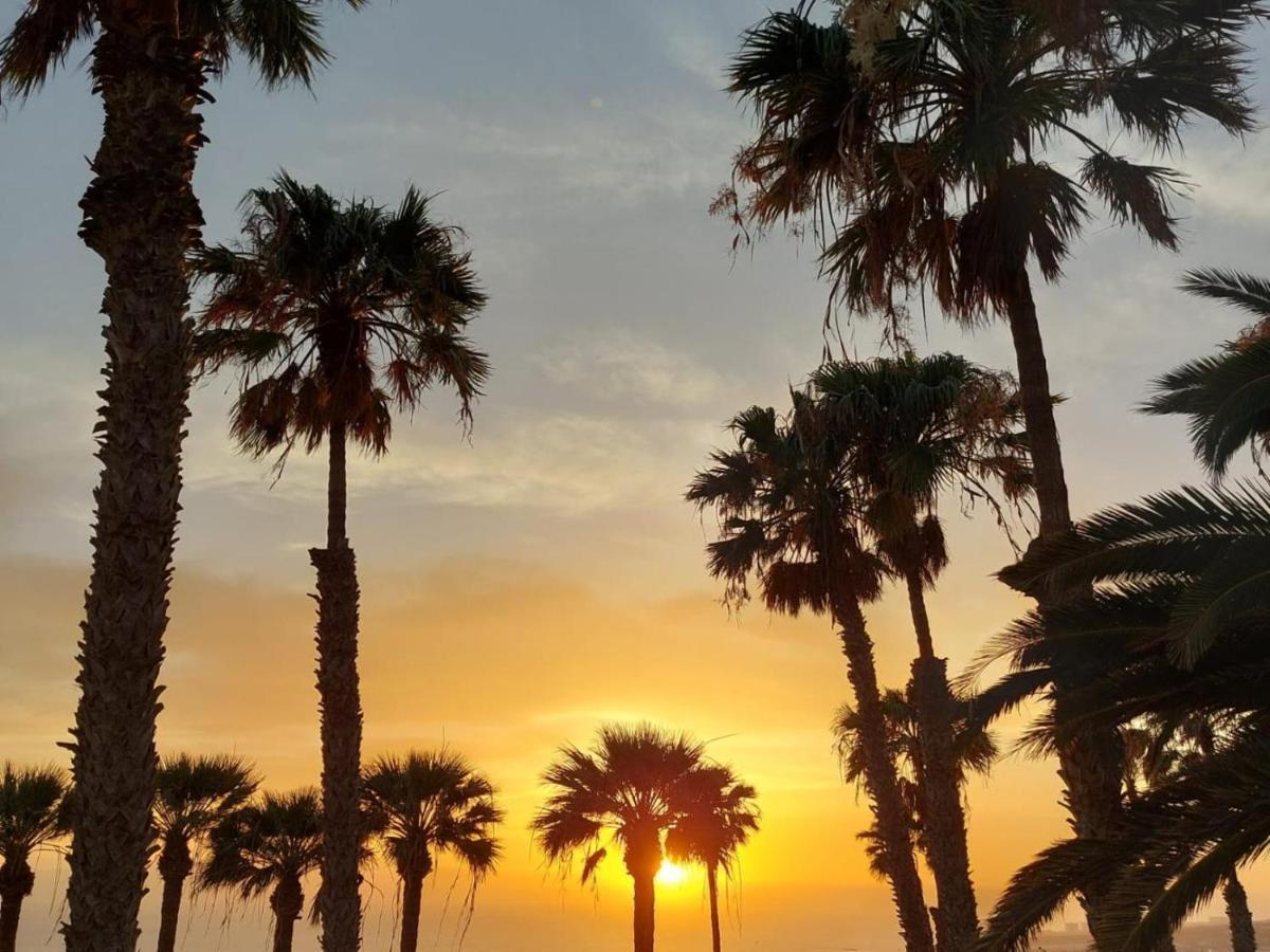 101 Playa Honda, Playa De Las Americas Dış mekan fotoğraf